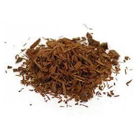 Yohimbe (Pausinystalia Johimbe) (Bark) Extract